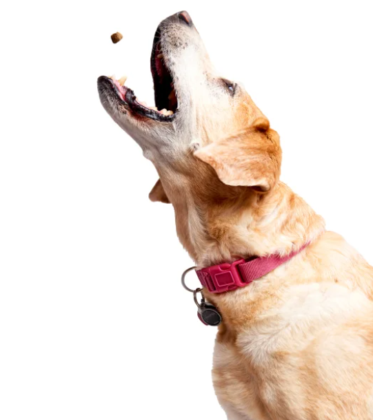 스크린샷 2025-03-01 234628.png