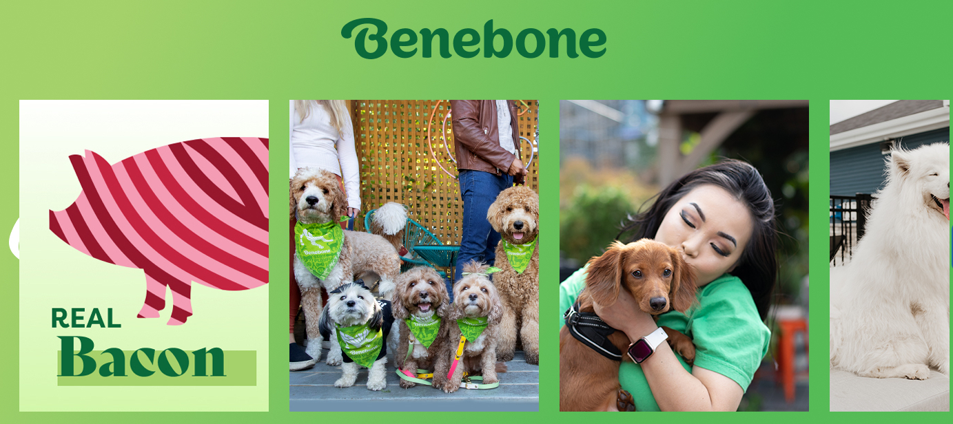 스크린샷 2025-03-29 231730.png