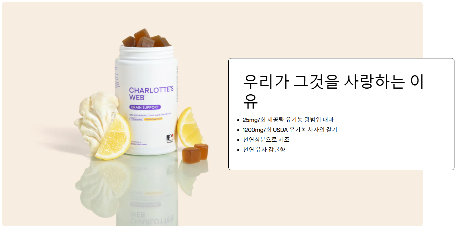 스크린샷 2025-04-08 130256.png